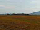 obr